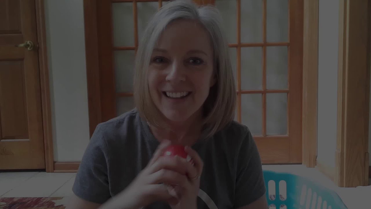 My Dog Brody Learns Prepositions