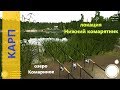Русская рыбалка 4 - озеро Комариное - Карп на кукурузу