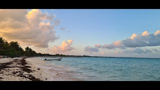 Fisherman's Lodge I Ascension Bay Mexico I March 2025