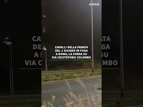 Video Cavalli della parata del 2 giugno in fuga a Roma, la corsa su via Cristoforo Colombo