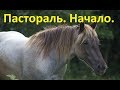 Пастораль. Начало работы в руках.