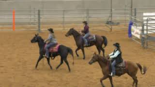 Team Penning - 10HC Set 1 - 2019 USTPA Panhandle Pen & Sort
