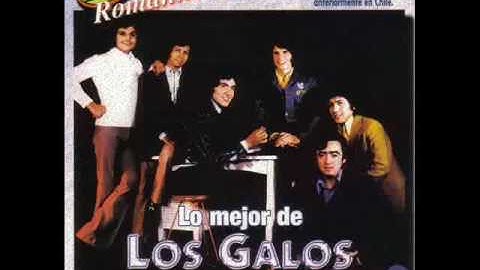 LOS GALOS - Nunca me cansaré de tí -1970 - CANTA LUCHO MUÑOZ - TICOABRIL