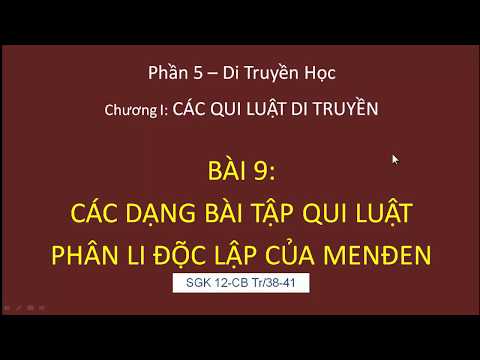 Sinh học 12. Bài 9. Qui luật phân li độc lập của Menden - Bài tập