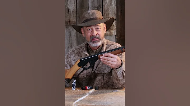 Cheapest  Gun  You Can Buy