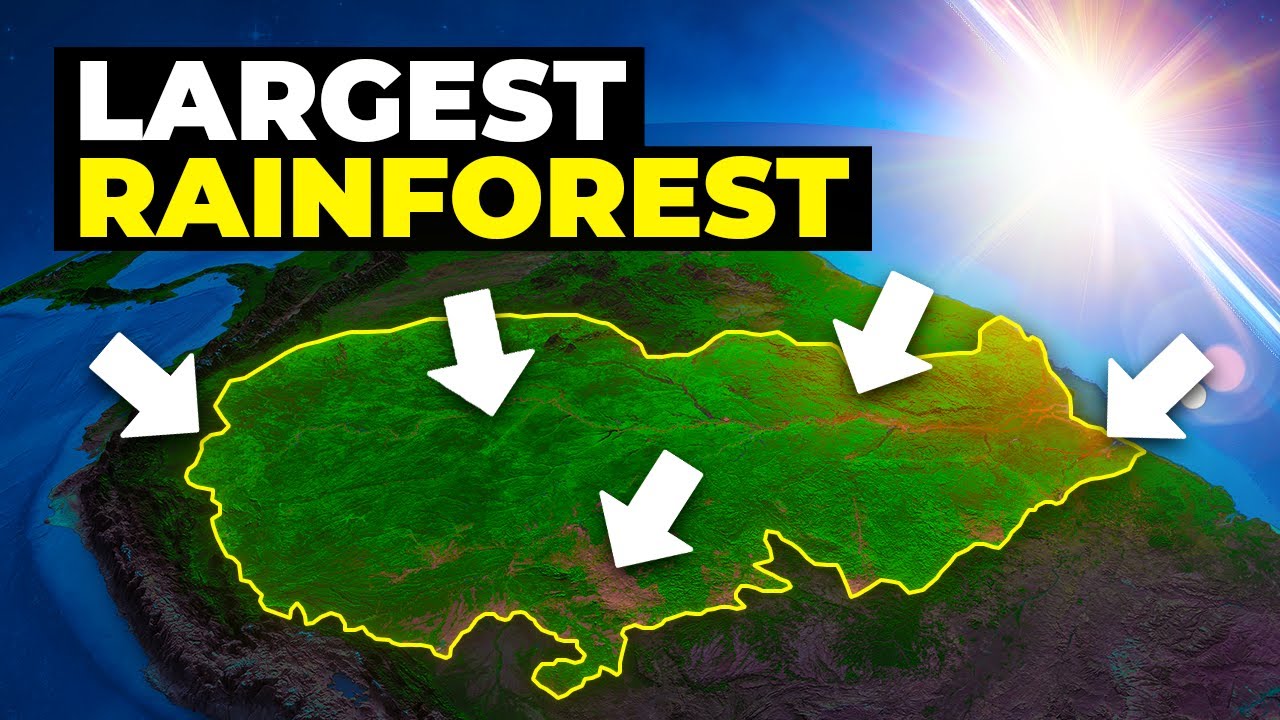The Incredible Amazon Rainforest: Short Documentary