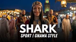 Gnawa Fusion Remix – SPORT by SHARK | High Energy Reinterpretation