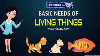 Basic Needs of Living Things | Air, Water, Food and Shelter | Science