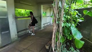 Kew gardens ( Princess of wales conservatory )