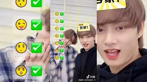 SEVENTEEN TIKTOK & DOUYIN OFFICIAL