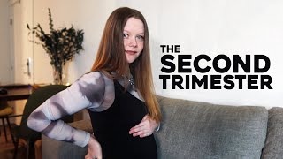 second trimester recap | new symptoms + appointments