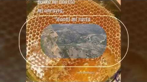 Eritrean saho history interveiw mohammed ibrahim with musa ahmed .2017 part 4 off part 1