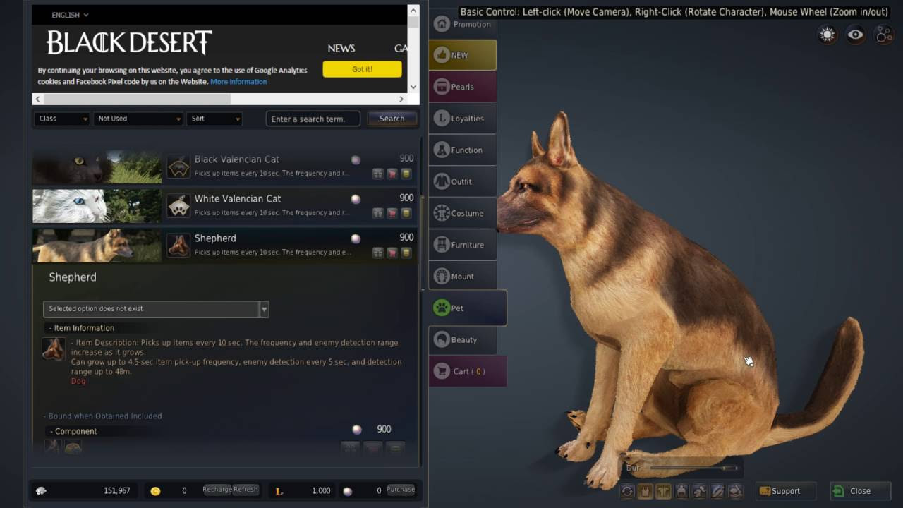 black desert online pet  Update New  Black Desert Online all pets 全寵物一覽