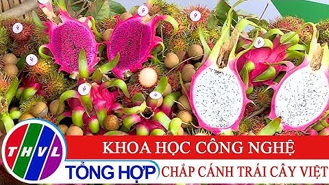 Nông nghiệp bền vững: Khoa học công nghệ chắp cánh trái cây Việt