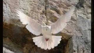 Haim ben haim    KEREN OR KTANA a ray of light