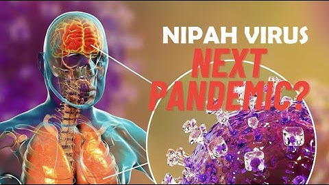The Next PANDEMIC? What is NIPAH Virus?