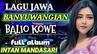 LAGU JAWA BANYUWANGIAN DJ FULL BASS VIRAL 2026 PALING SEDIHH BIKIN CANDU TERMAHAL DI YOUTUBE