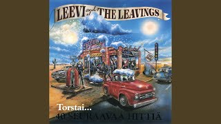 Miniatura del video "Leevi & The Leavings - Mäyrä"