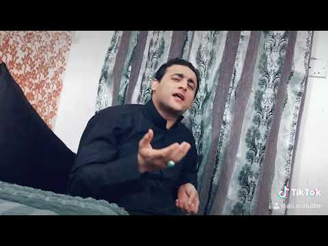 طير العويدي علي العقابي 