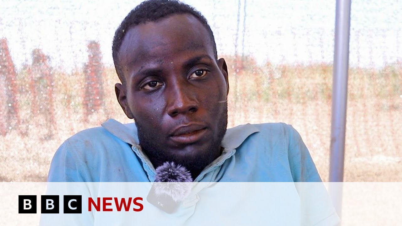 Sudanese survivors of el-Fasher siege tell the BBC about RSF brutality | BBC News Sudanese survivors of el-Fasher siege tell the BBC about RSF brutality | BBC News