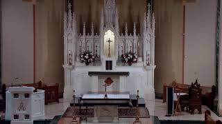 Daily Mass July 11, 2026