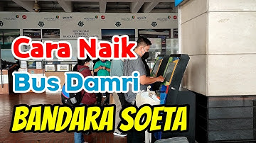 Cara Naik Bus Umum dan Damri dari Bandara Soekarno-Hatta