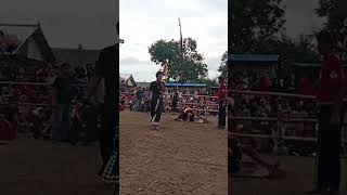 Download Lagu umpomo - Jathilan Sekar Kinasih #love #dangdut #cover #music #jaranan #story #drama MP3 Download Lagu umpomo - Jathilan Sekar Kinasih #love #dangdut #cover #music #jaranan #story #drama MP3