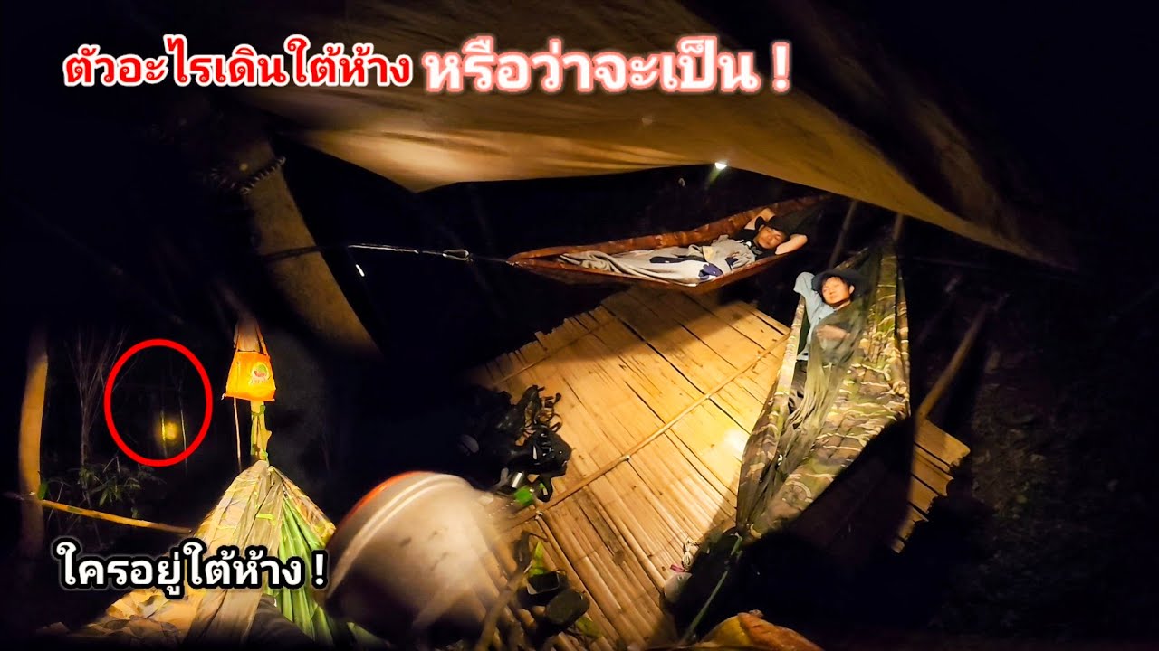 นอนห้างร้างกลางป่า มีบางอย่างเข้าใกล้ที่พักทำเอาขนหัวลุกไปทั้งตัว มันคือตัวอะไรกันแน่หรือว่าจะเป็น