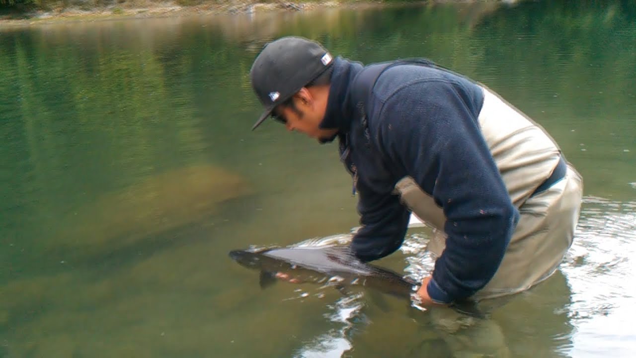 TROUTSIDER: First Salmon On A Fly - YouTube