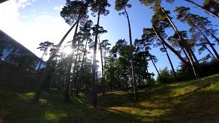 FPV screenshot 3