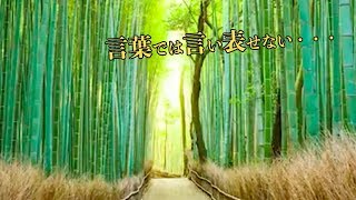 日本の美しさは言葉では表せない！日本の美しさが詰まった光景に魅了される海外の人々　海外の反応