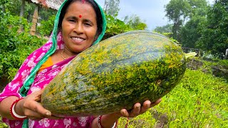 আজ বৃষ্টির মধ্যে মায়ের রান্না | How do village peoples plan to cook on a rainy day | villfood garden