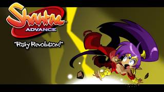 Scary Elevator - Shantae Advance: Risky Revolution