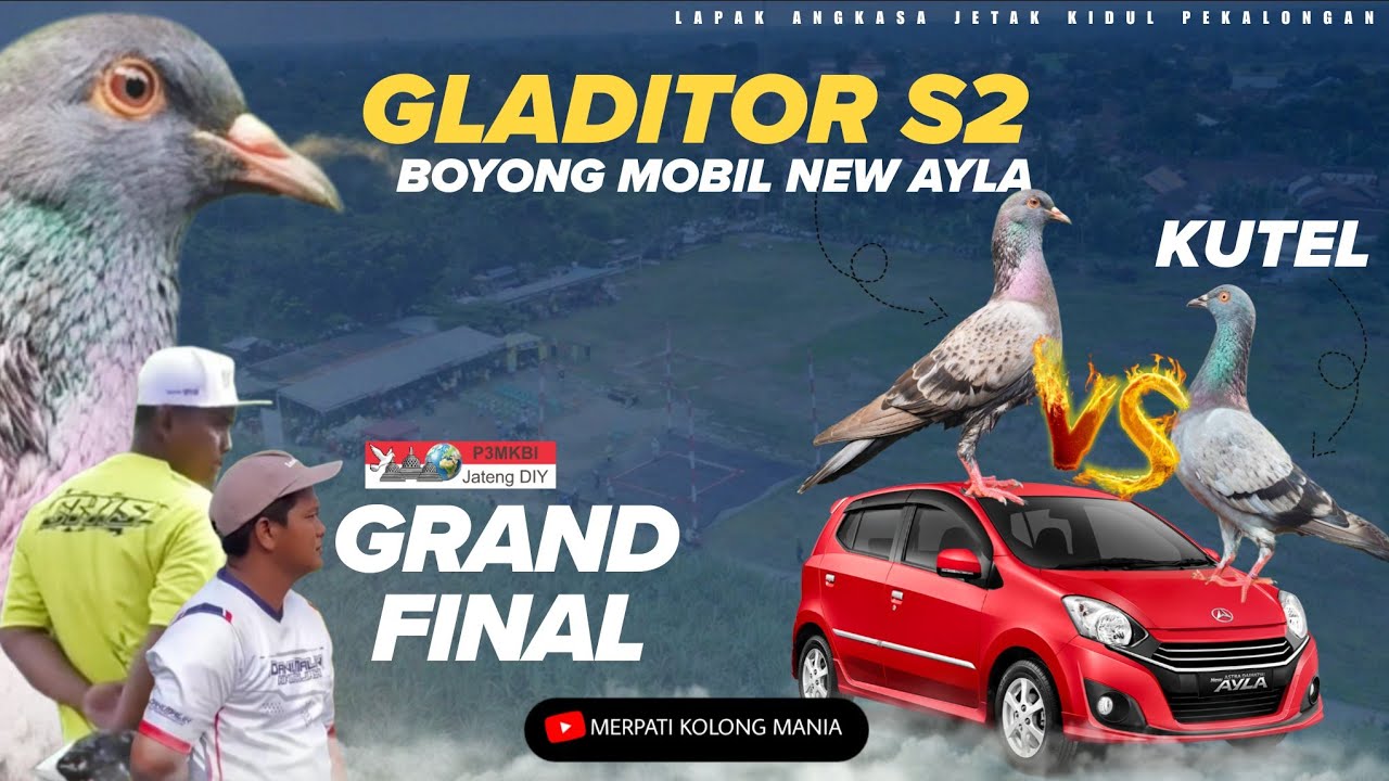 FINAL SERU‼️GLADIATOR S2 DAPAT NEW AYLA P3MKBI ft MKM Lapak Angkasa Jetak Kidul Pekalongan