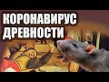 Юстинианова чума - первая мировая эпидемия