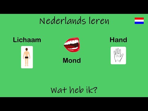 Nederlands leren; Wat heb ik? (Les 35)