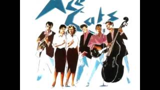 Ace Cats / Cat Talk - YouTube