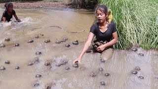 Catch a big snake & Pick up snails for food - Snail curry spicy chili & Eating delicious in jungle