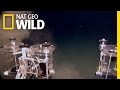 Underwater Alien Planet | Nat Geo Wild