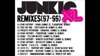 Tanith - T.A.N.I.T.H. (Junkie XL Remix)
