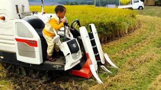 Amazing Combine Harvester little boy operation.龍くん5歳、稲刈りのお手伝い 03