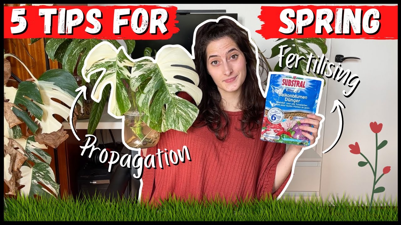 How To Have Succesful Growing Season // 5 TIPS FOR SPRING - YouTube