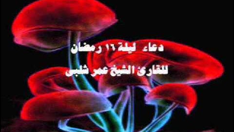 دعاء ليلة 16 رمضان للقارئ الشيخ عمر شلبى.wmv