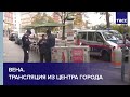 Вена. Трансляция из центра города