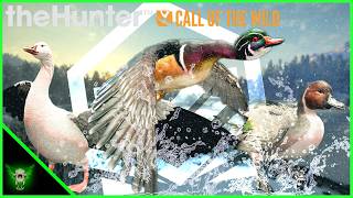 Diamond Bird Sweep on Askiy Ridge, the Last Dime Goose I Needed! | theHunter: Call of the Wild