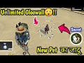 Unlimited Gloowall in Rank By New Pet🤯🔥Hacker वाली Pet Skills !!