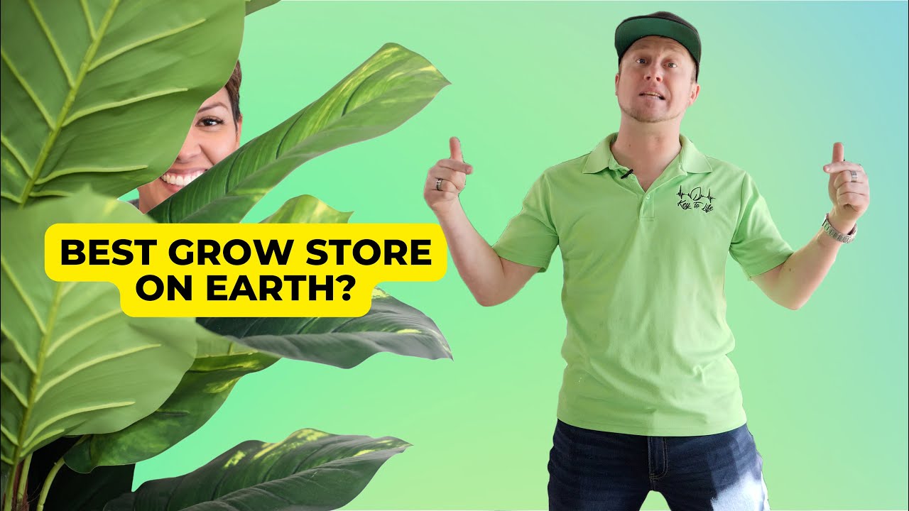 Is This The Greatest Grow Store in The World? YouTube