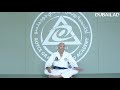 Royce Gracie Talks About Nick & Nate Diaz - Interview