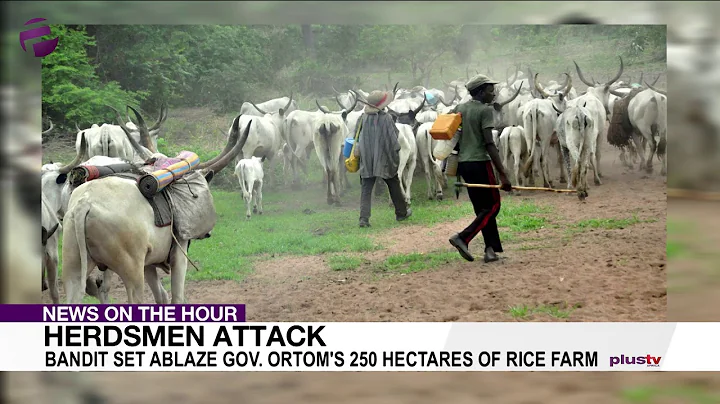 Herdsmen Set Ablaze Gov. Ortom's 250 Hectares Rice Farm