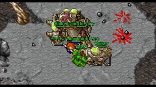 [ TIBIA ] Walker [ Montaria ] - BRONSON SERVER